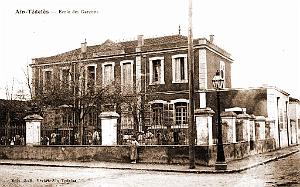 Ain Tedeles 524
